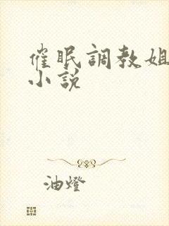 催眠调教姐姐的小说封面