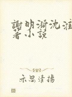 谢明漪沈淮舟原著小说