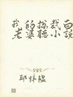 我的总裁白富美老婆听小说