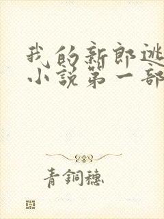 我的新郎逃婚了小说第一部封面