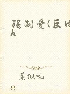 强制爱(巨肉高h