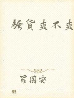 骚货爽不爽小说封面