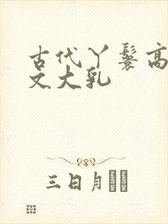 古代丫鬟高辣h文大乳