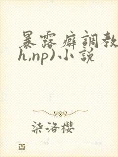 暴露癖调教(高h,np)小说封面