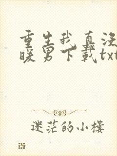 重生我真没想当暖男下载txt