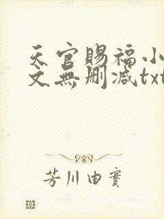 天官赐福小说全文无删减txt下载