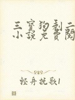 三宝狗剩二姐的小说免费阅读