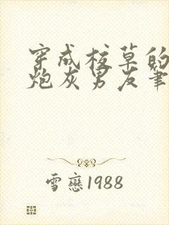 穿成校草的纯1炮灰男友笔趣阁封面