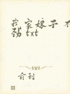 我家娘子 不对劲 txt