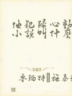 他犯归心动原著小说叫什么名字