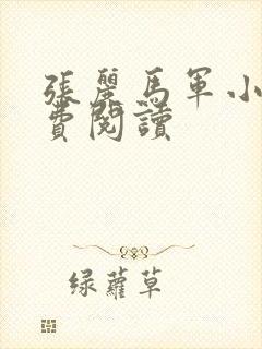 张丽马军小说免费阅读