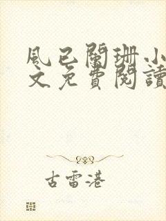 风已阑珊小说全文免费阅读最新章节