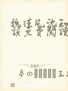 魏瑾风沈知玉小说免费阅读最新章节