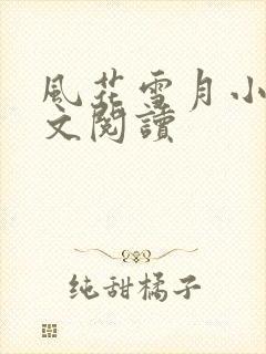 风花雪月小说全文阅读封面