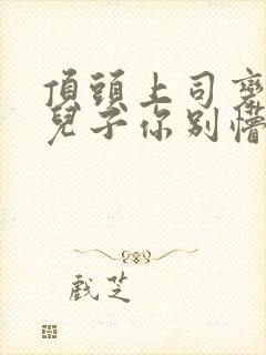 顶头上司变后妈儿子你别懵小说