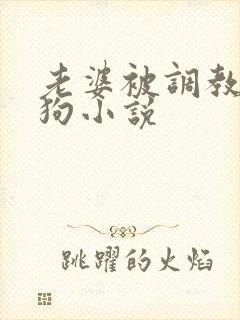 老婆被调教成母狗小说