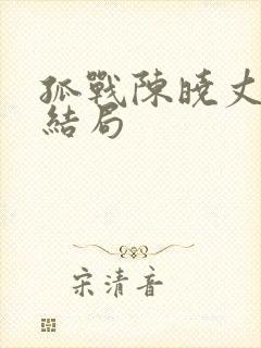 孤战陈晓丈夫的结局