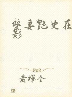 双妻艳史在线电影封面