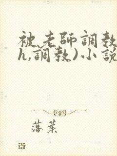 被老师调教(高h,调教)小说