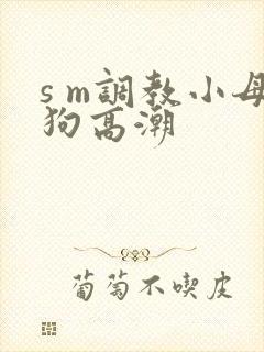 s m调教小母狗高潮