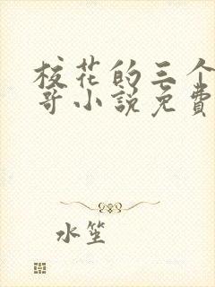 校花的三个糙汉哥小说免费阅读