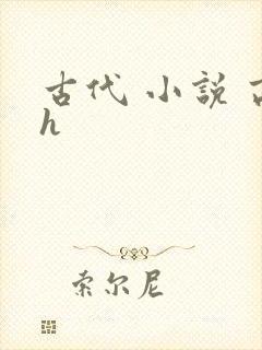 古代 小说 高h