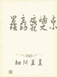 男主病娇占有欲强的宠文小说推荐