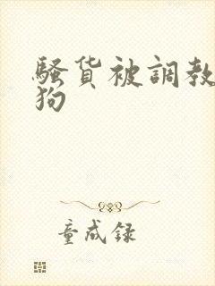 骚货被调教成母狗封面