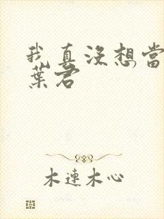 我真没想当皇上叶君