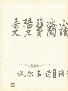 秦阳薛冰小说全文免费阅读封面