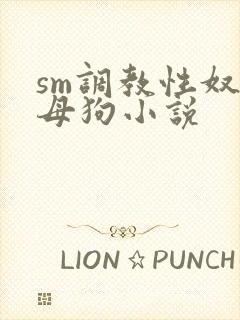 sm调教性奴隶母狗小说