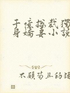 千亿总裁独宠替身娇妻小说