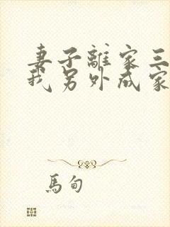 妻子离家三年,我另外成家了小说免费阅读封面