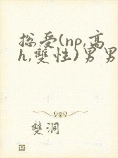 总受(np,高h,双性)男男
