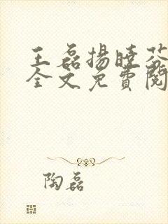 王磊扬晓芬小说全文免费阅读