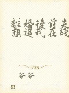 离婚后前夫总是想追我在线阅读全文免费