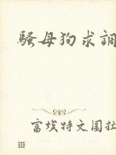 骚母狗求调教