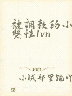 被调教的小太子双性1vn封面