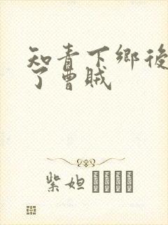 知青下乡后我成了曹贼封面