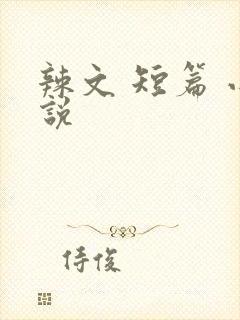辣文 短篇 小说