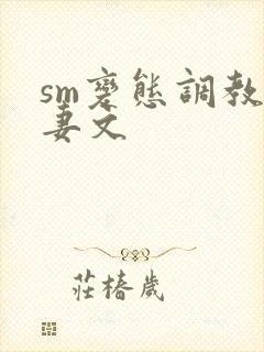 sm变态调教人妻文封面