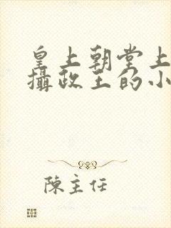 皇上朝堂上含着摄政王的小说