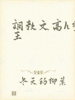 调教文高h双男主