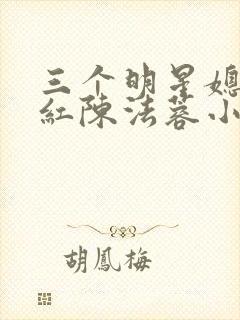 三个明星媳妇陈红陈法蓉小说