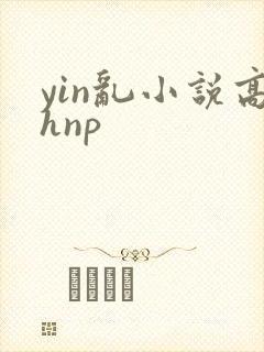 yin乱小说高hnp