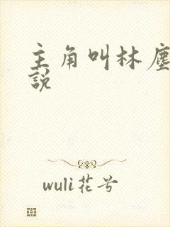 主角叫林尘的小说封面