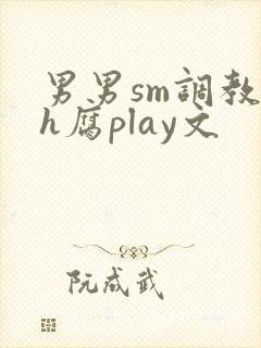 男男sm调教高h腐play文