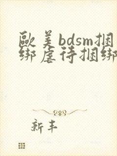 欧美bdsm捆绑虐待捆绑调教奴隶封面