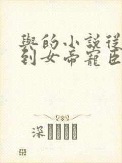 与的小说从赘婿到女帝宠臣