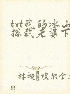 txt我的冰山总裁老婆下载封面